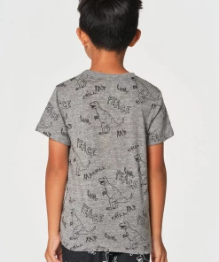 Chaser Boys Dino Jam SS Crew Neck Tee Streaky Grey