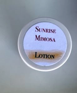 Beach Naturals Mimosa Tube Solid Lotion 7 Beach Naturals Mimosa Tube Solid Lotion